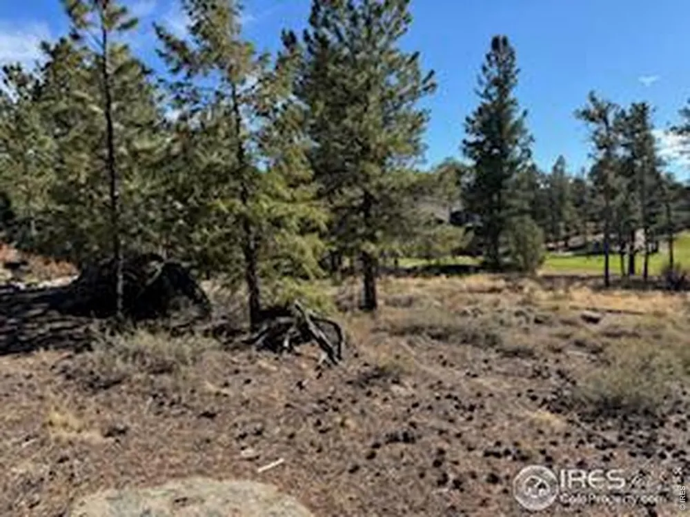 2921 Fox Acres Drive E Red Feather Lakes, CO 80545