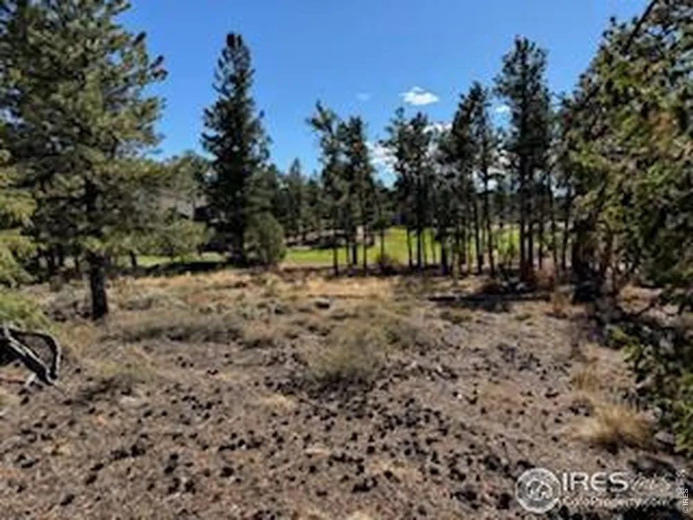 2921 Fox Acres Drive E Red Feather Lakes, CO 80545