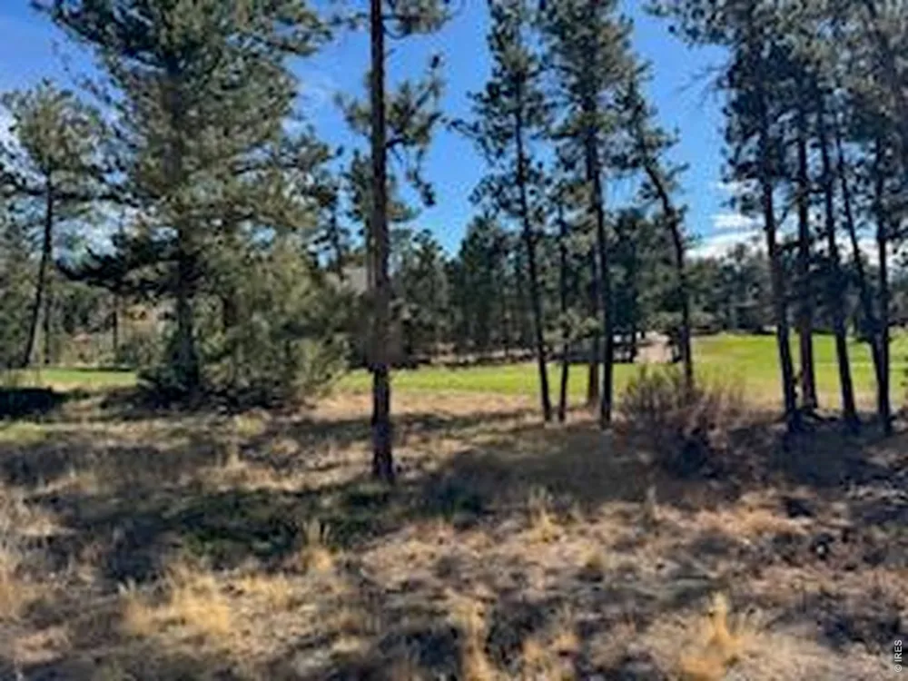 2921 Fox Acres Drive E Red Feather Lakes, CO 80545