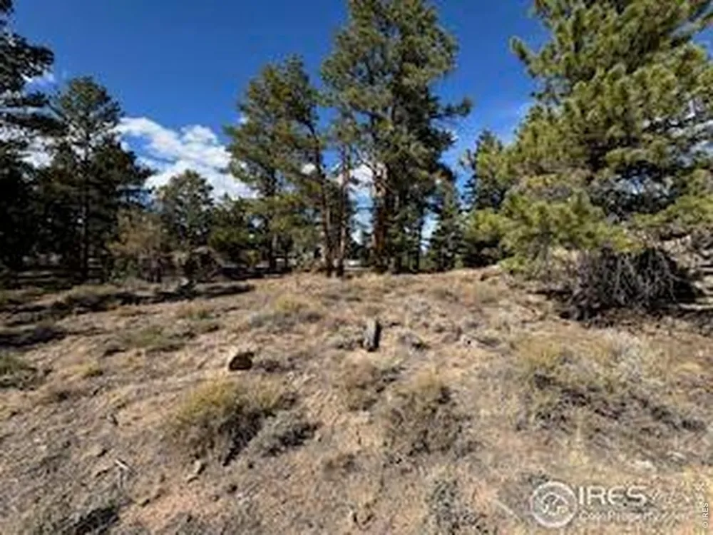 2921 Fox Acres Drive E Red Feather Lakes, CO 80545