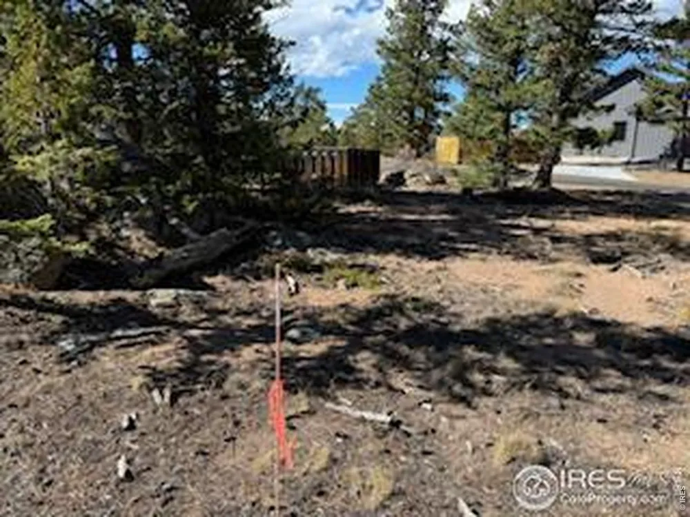 2921 Fox Acres Drive E Red Feather Lakes, CO 80545