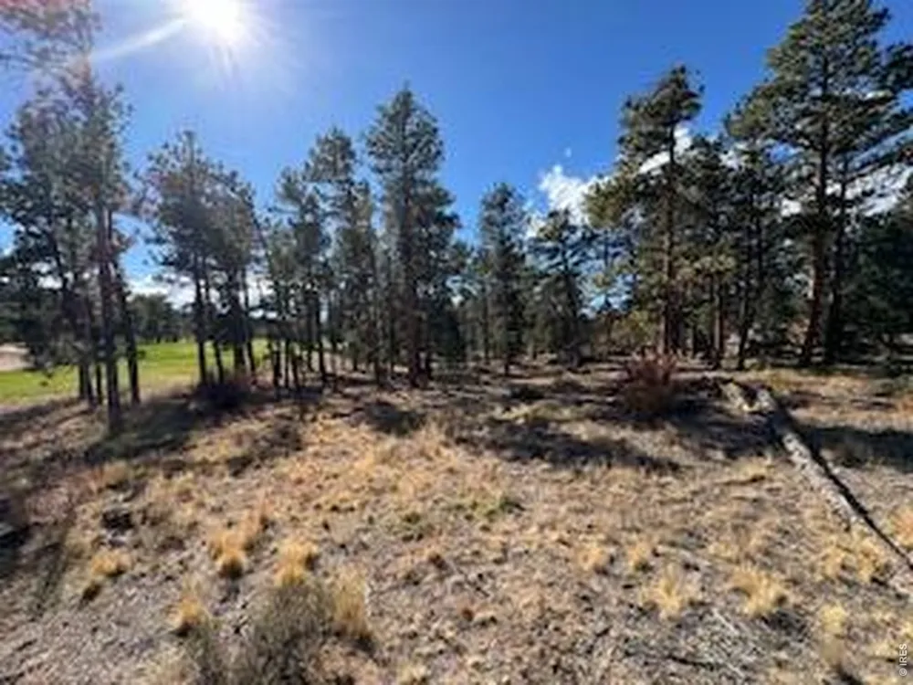2921 Fox Acres Drive E Red Feather Lakes, CO 80545