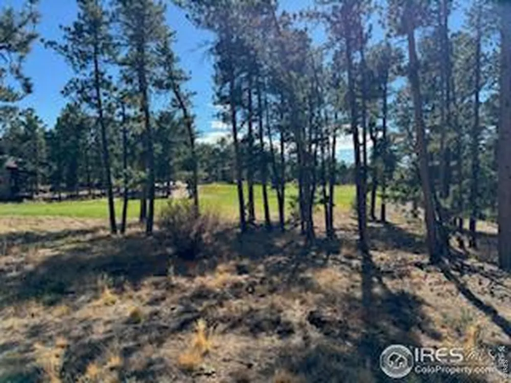 2921 Fox Acres Drive E Red Feather Lakes, CO 80545