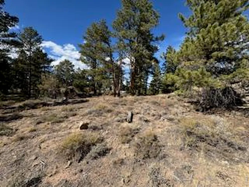 2921 Fox Acres Drive E Red Feather Lakes, CO 80545
