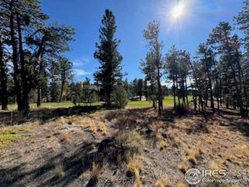 2921 Fox Acres Drive E Red Feather Lakes, CO 80545