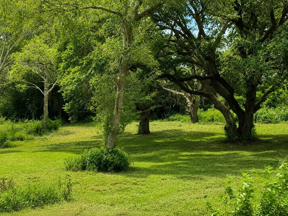 Riverside Drive Palacios, TX 77465