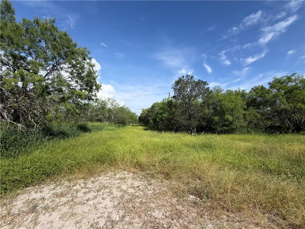 301 Paisano Dr. George West, TX 78022