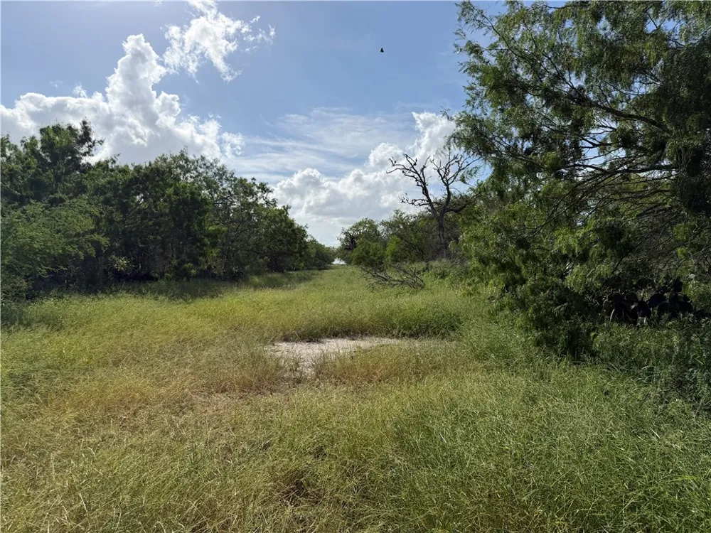 301 Paisano Dr. George West, TX 78022