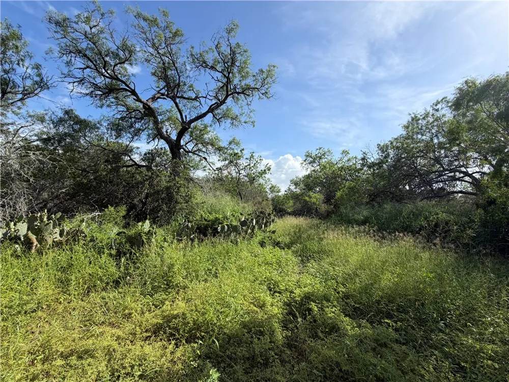 301 Paisano Dr. George West, TX 78022