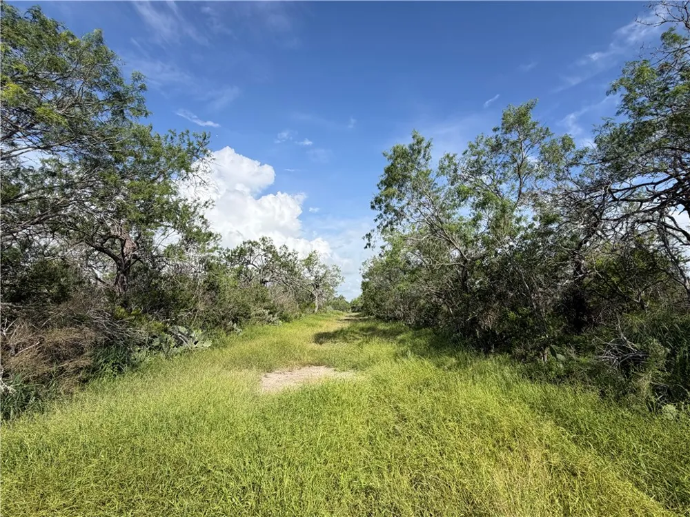 301 Paisano Dr. George West, TX 78022
