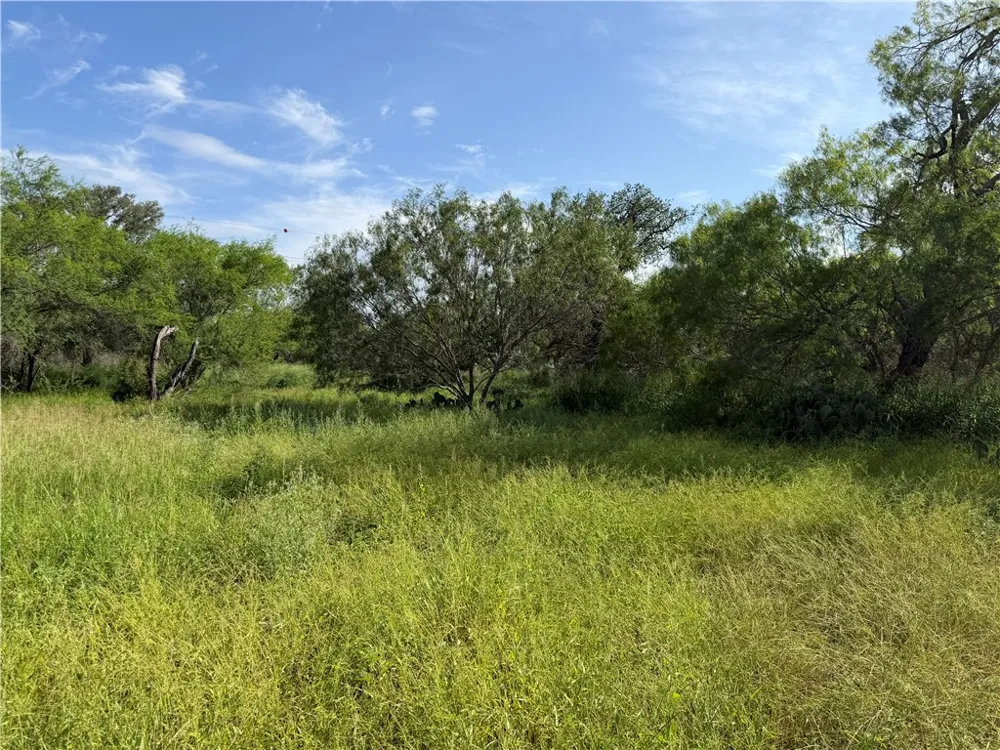 301 Paisano Dr. George West, TX 78022