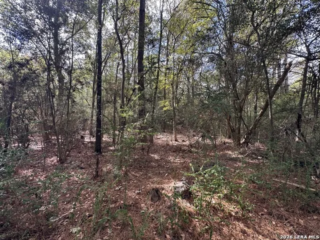 467 JAPE MASSINGILL LN Diboll, TX 75941