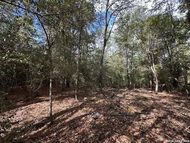467 JAPE MASSINGILL LN Diboll, TX 75941