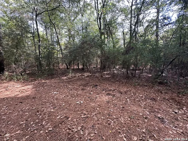 467 JAPE MASSINGILL LN Diboll, TX 75941
