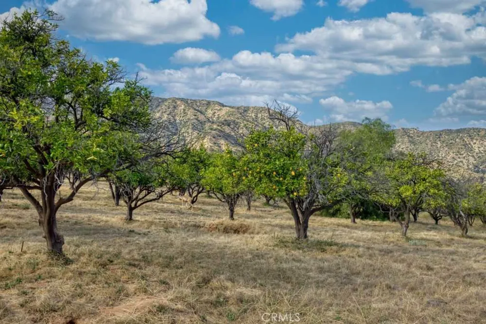 188 Oak Knoll Lane Bradbury, CA 91008