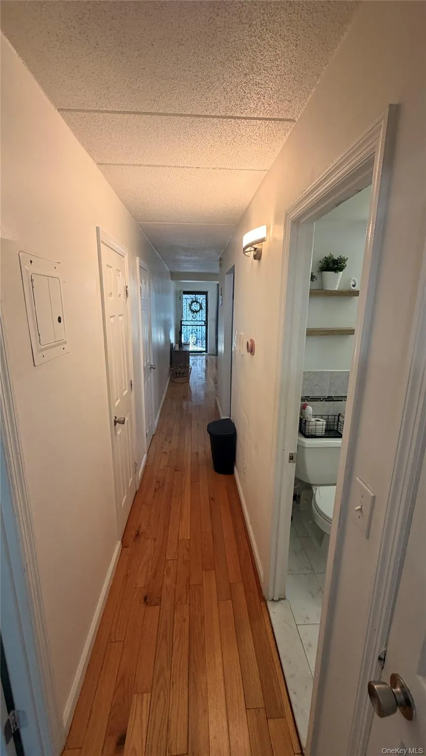 1954 Bergen Street Brooklyn, NY 11233
