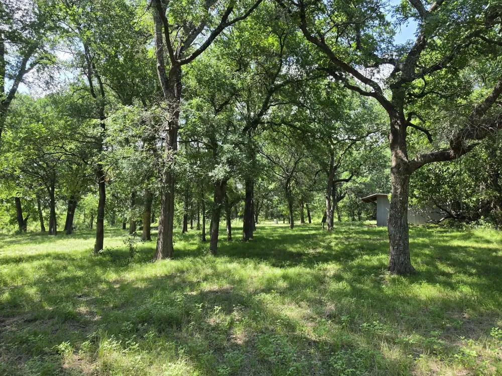 32 S Hwy 121 Highway Bonham, TX 75418