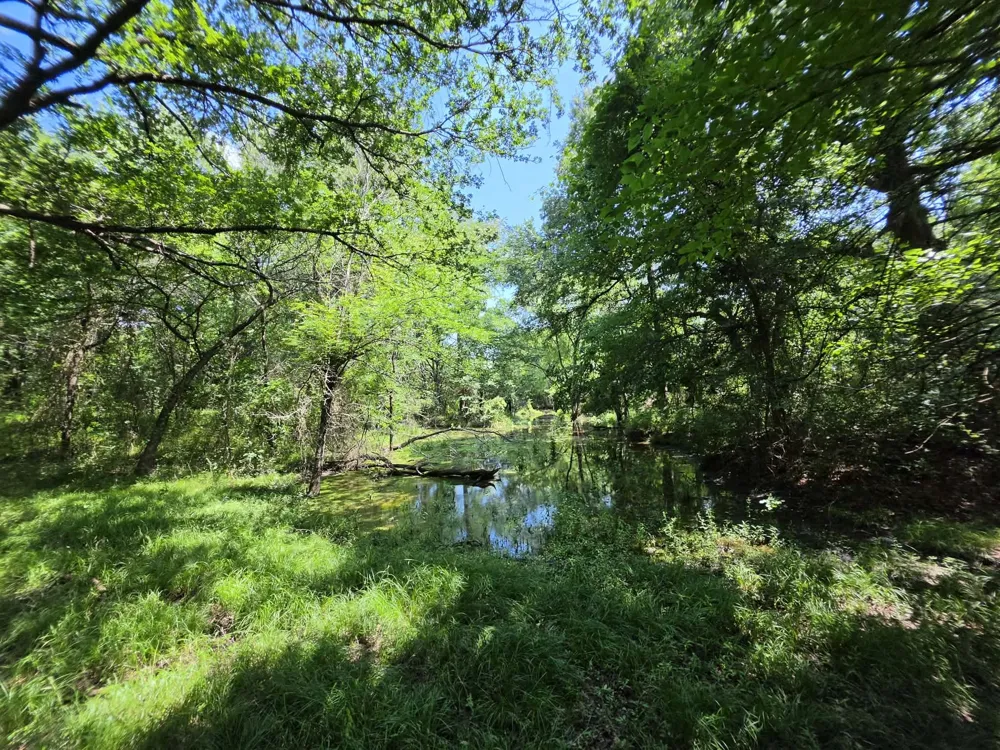 32 S Hwy 121 Highway Bonham, TX 75418