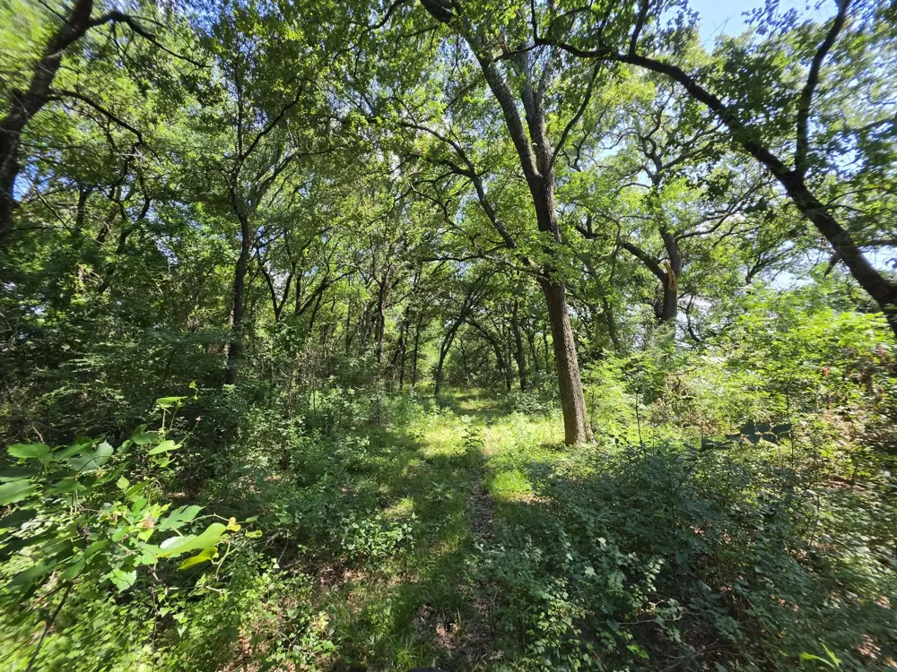 32 S Hwy 121 Highway Bonham, TX 75418