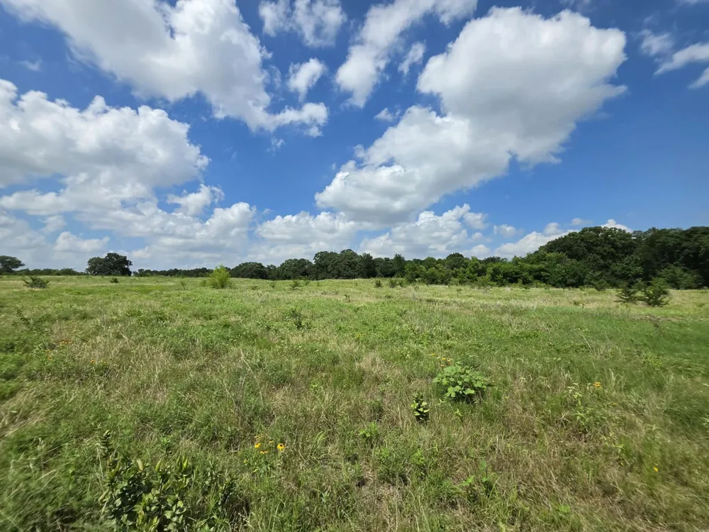 32 S Hwy 121 Highway Bonham, TX 75418