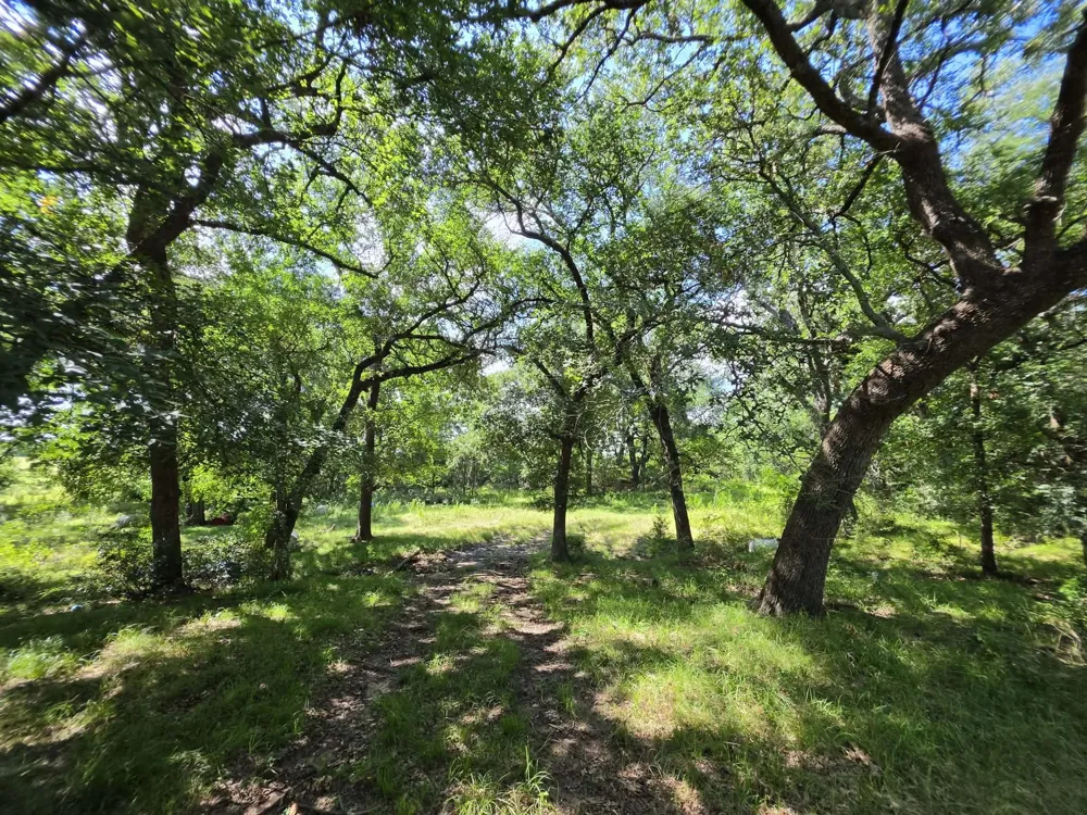 32 S Hwy 121 Highway Bonham, TX 75418