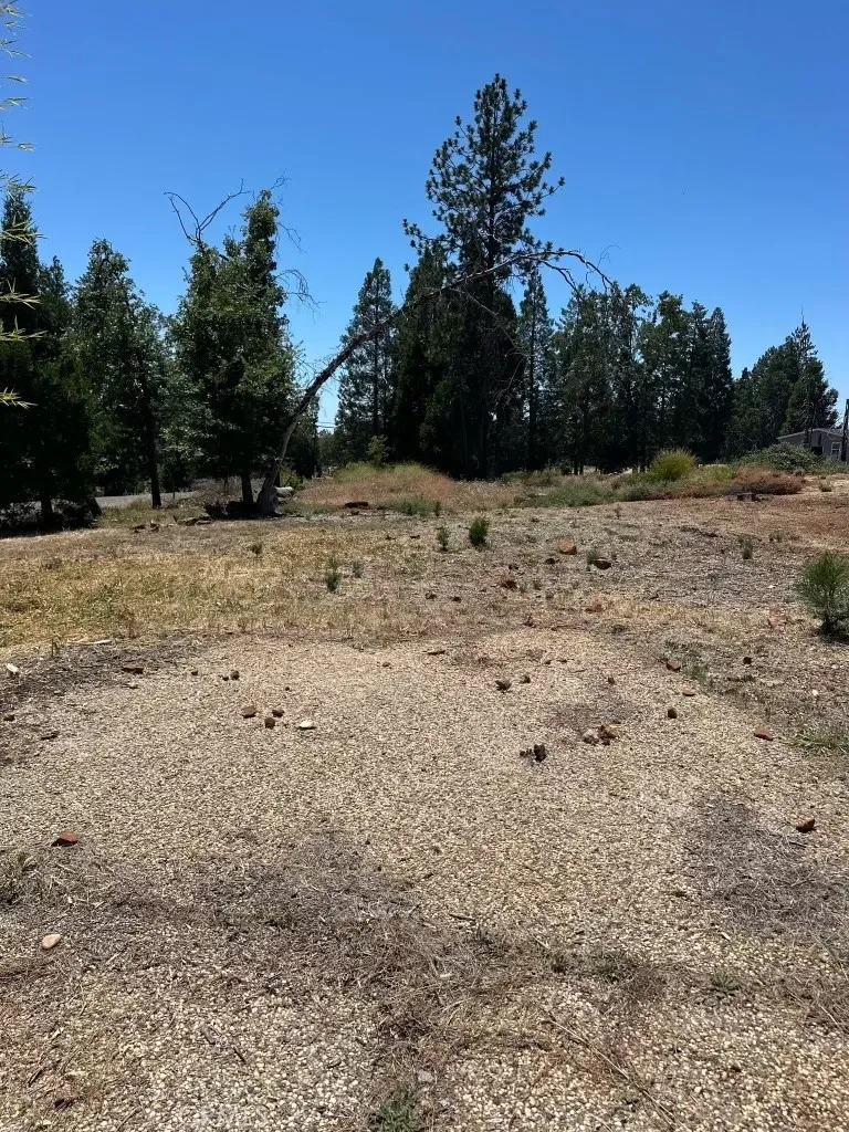 13715 S Park Magalia, CA 95954