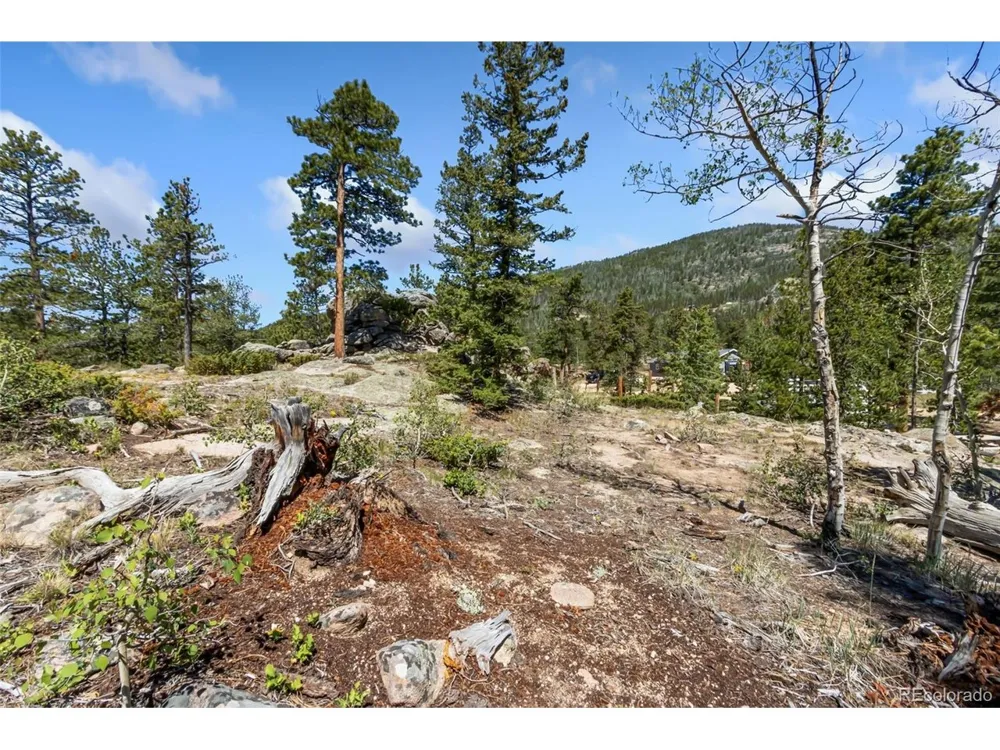 11 Inca Court Red Feather Lakes, CO 80545