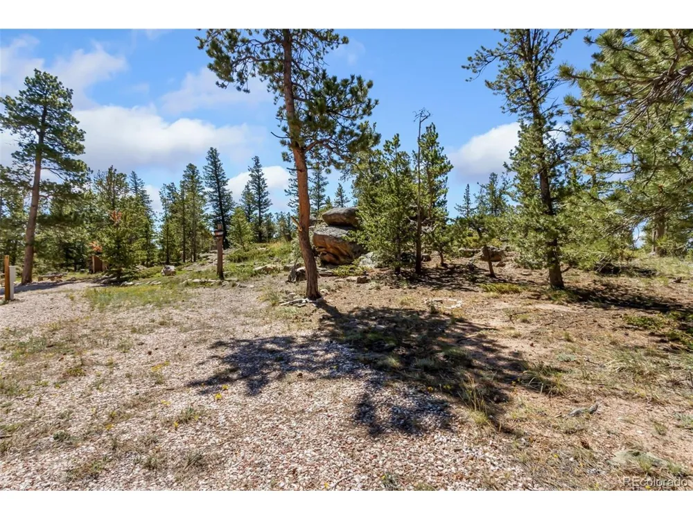 11 Inca Court Red Feather Lakes, CO 80545