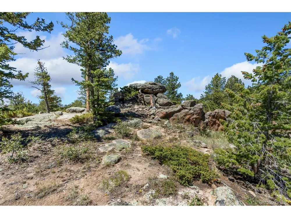 11 Inca Court Red Feather Lakes, CO 80545