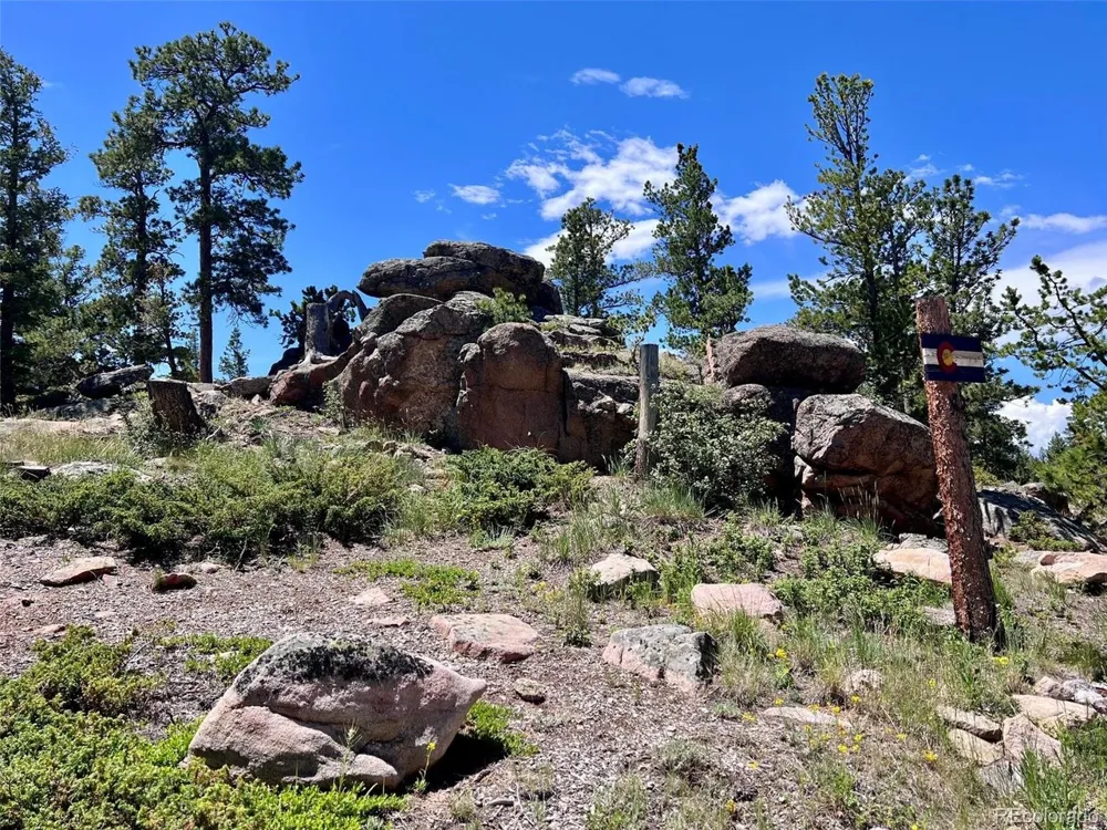 11 Inca Court Red Feather Lakes, CO 80545