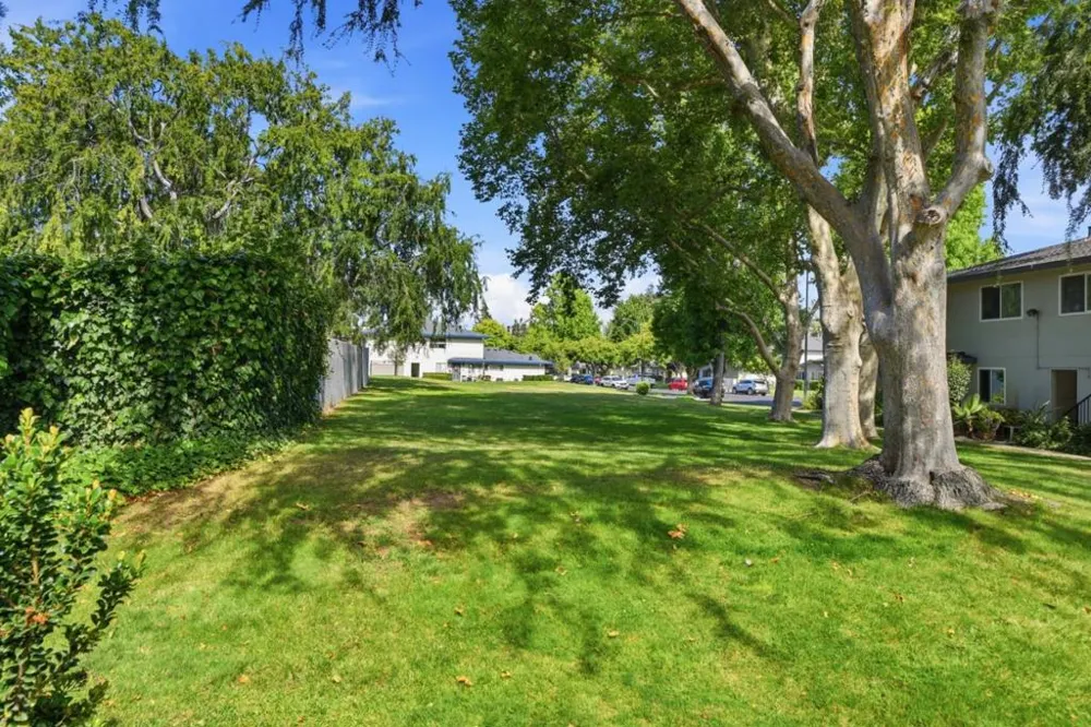 207 Watson Drive #3 Campbell, CA 95008