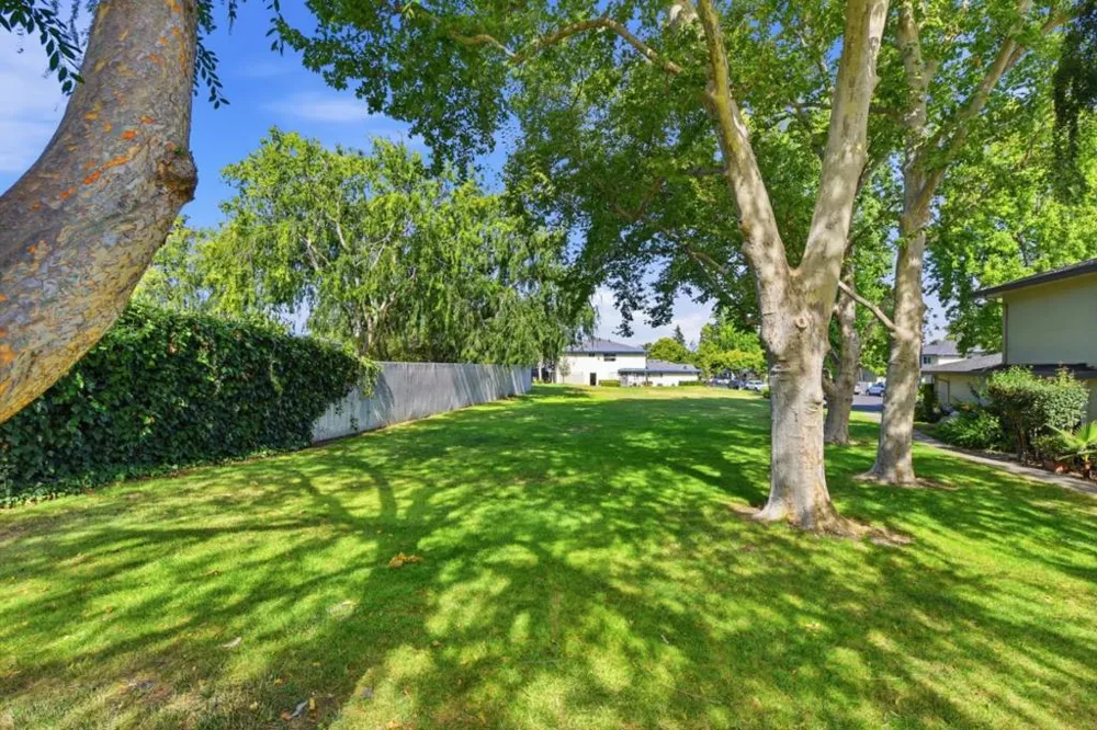 207 Watson Drive #3 Campbell, CA 95008