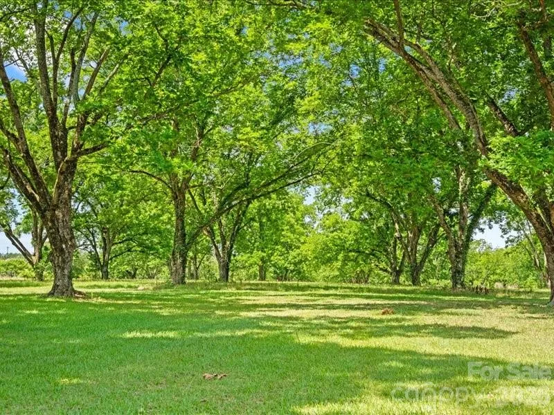 464 Lark Road Cheraw, SC 29520