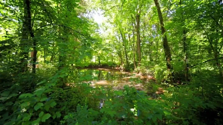 1304 Summer Station Dr Chapel Hill, TN 37034