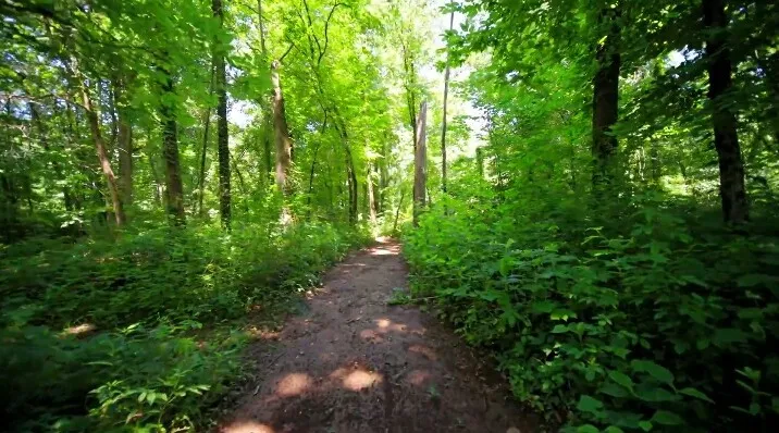 1304 Summer Station Dr Chapel Hill, TN 37034