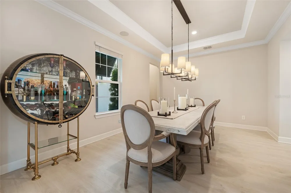 10175 BROCKSPORT CIRCLE Gotha, FL 34734