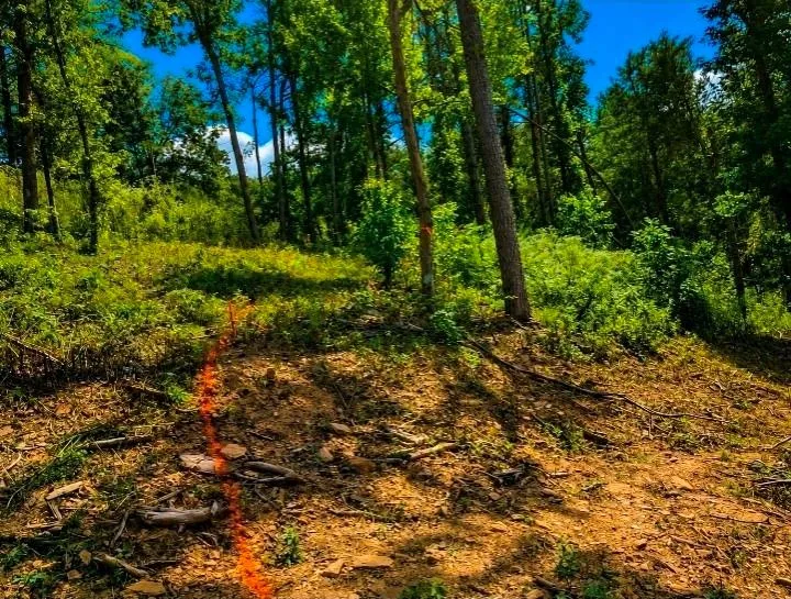 0 Dell Moore, Lot 3 Road Marble Hill, GA 30148