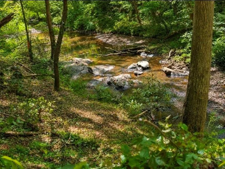 0 Dell Moore, Lot 3 Road Marble Hill, GA 30148