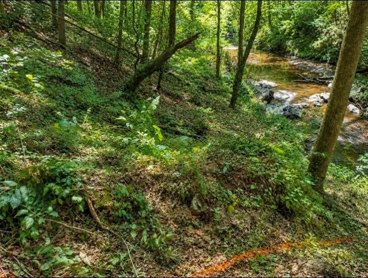 0 Dell Moore, Lot 3 Road Marble Hill, GA 30148