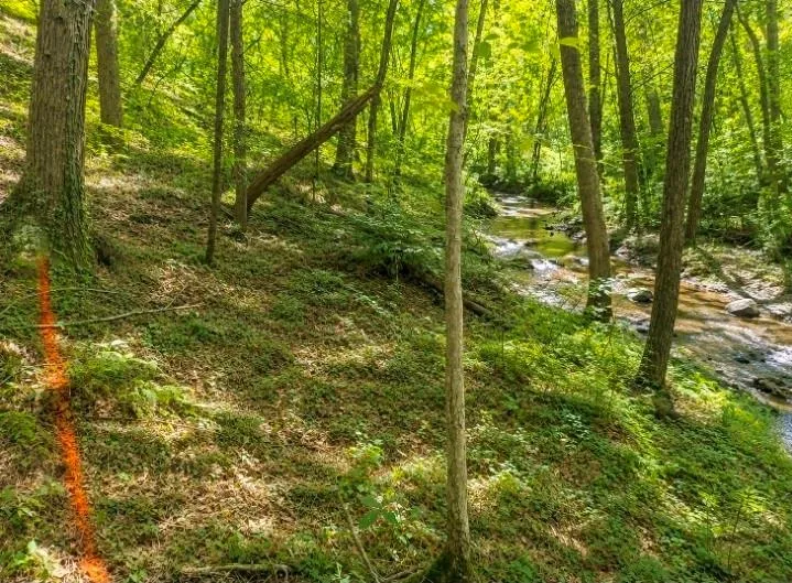 0 Dell Moore, Lot 3 Road Marble Hill, GA 30148