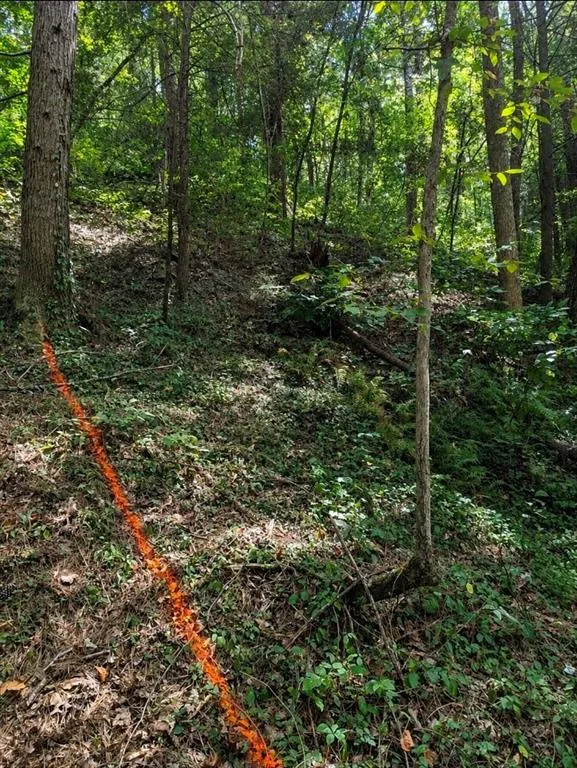 0 Dell Moore, Lot 3 Road Marble Hill, GA 30148