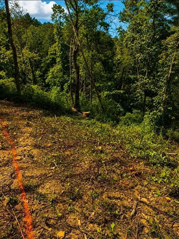 0 Dell Moore, Lot 3 Road Marble Hill, GA 30148