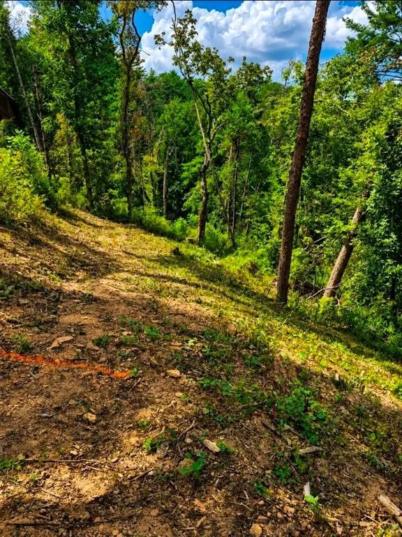 0 Dell Moore, Lot 3 Road Marble Hill, GA 30148