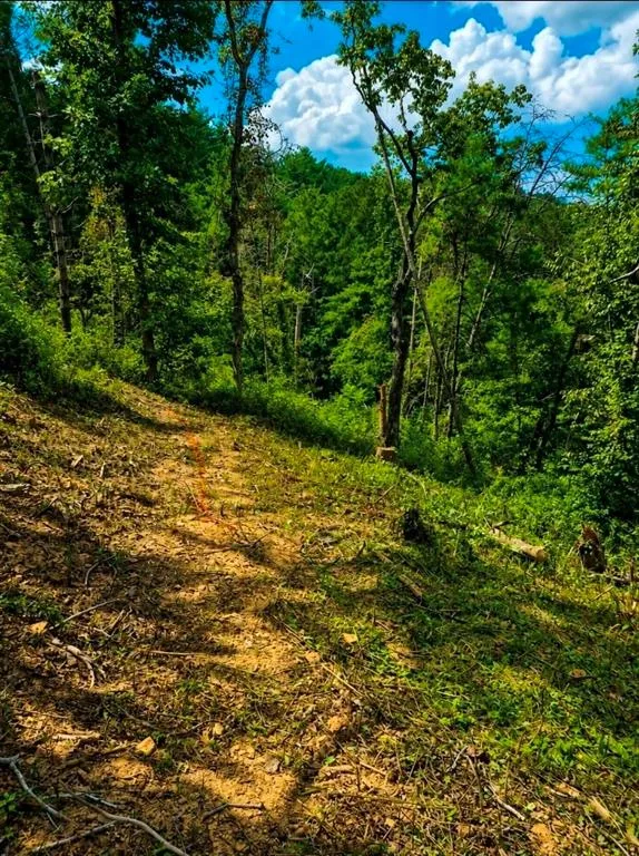 0 Dell Moore, Lot 3 Road Marble Hill, GA 30148