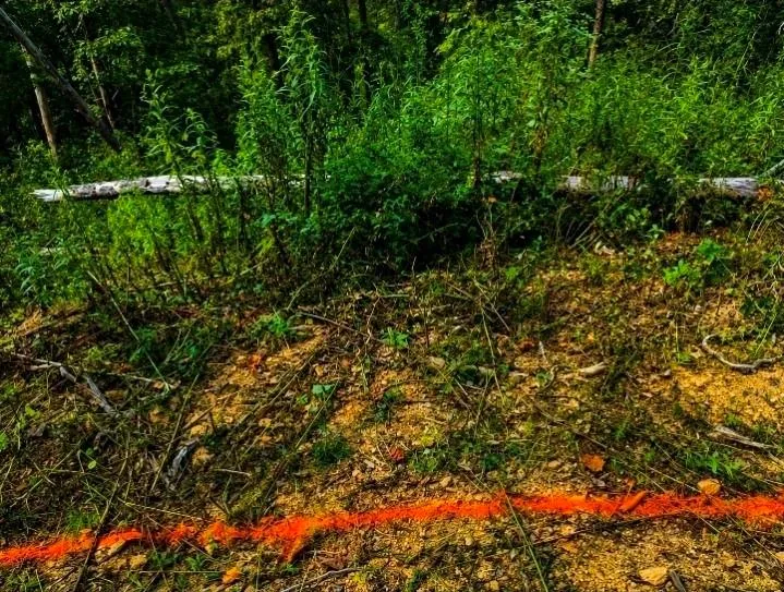 0 Dell Moore, Lot 3 Road Marble Hill, GA 30148
