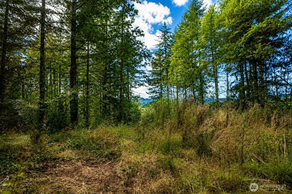 673 Curtis Hill Road #67 Chehalis, WA 98532