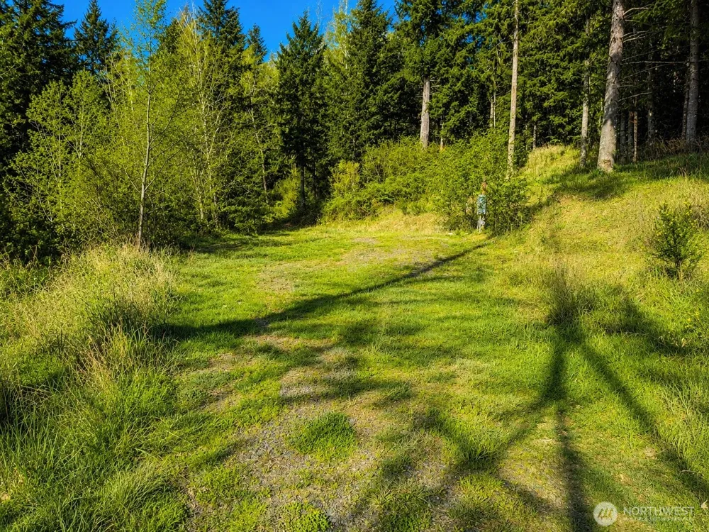 673 Curtis Hill Road #67 Chehalis, WA 98532