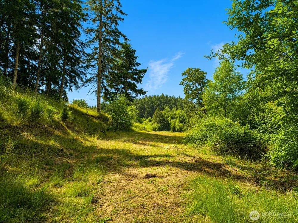 673 Curtis Hill Road #67 Chehalis, WA 98532
