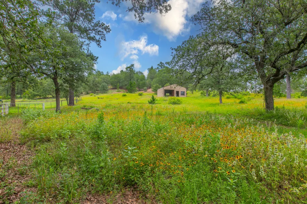 136 Redbird Lane Smithville, TX 78957