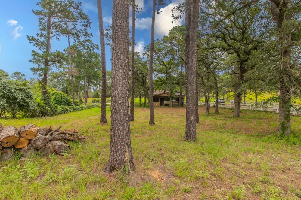 136 Redbird Lane Smithville, TX 78957